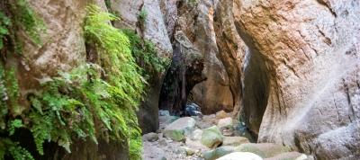 Wąwóz Avakas (liniowy) – dystrykt Pafos (Pafos), leśny szlak przyrodniczy Akamas