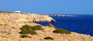 Konnoi – Agioi Anargyroi (pętla) – dystrykt Ammochostos (Famagusta), szlak przyrodniczy Cape Gkreko National Forest Park
