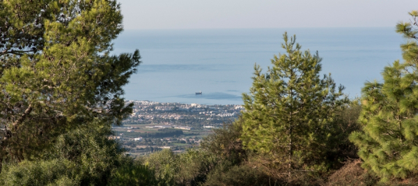 Main 14 - Stavros tis Psokas - Panagia - Pafos (Paphos) Cycling Route