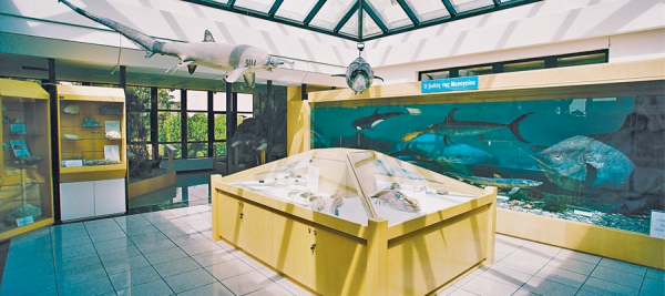 Das Naturkundekundemuseum Zyperns
