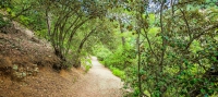 «Doxa si o Theos» - poste de régulation forestier de Madari (linéaire) - région de Lefkosia (Nicosie), forêt d’Aderfoi Sentiers nature