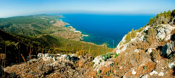 Pissouromoutti (en boucle) - région de Pafos (Paphos), forêt d’Akamas Sentiers nature