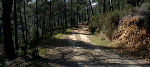 Parcours cyclable Troodos - Pafos (Paphos)