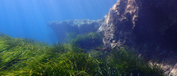 Amphorae Caves Diving Site - Miejsce nurkowe Jaskinie Amfory