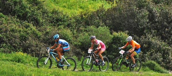 Велосипедный маршрут Продромос - Псило Дендро (Платрес)