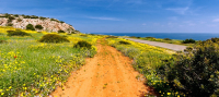 Kavos (pętla) – dystrykt Ammochostos (Famagusta), szlak przyrodniczy Cape Gkreko National Forest Park