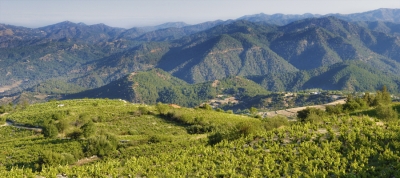 Vouni Panagias - Ambelitis Wine Route (Rural)