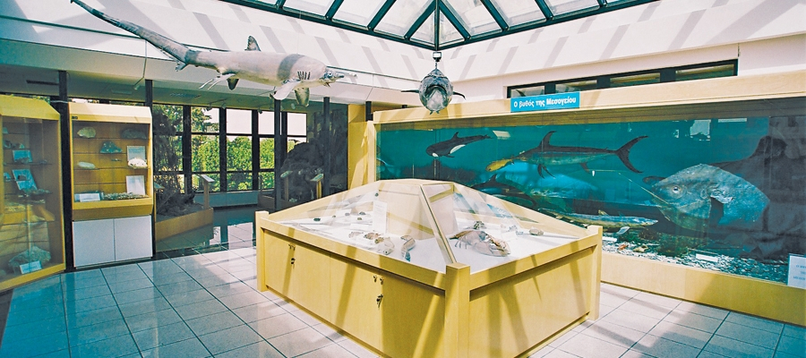 Cypryjskie Muzeum Historii Naturalnej image