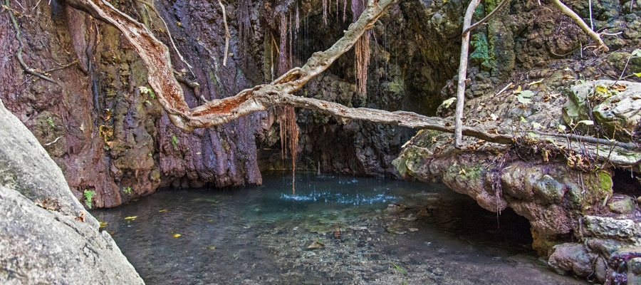 Bains d’Aphrodite image