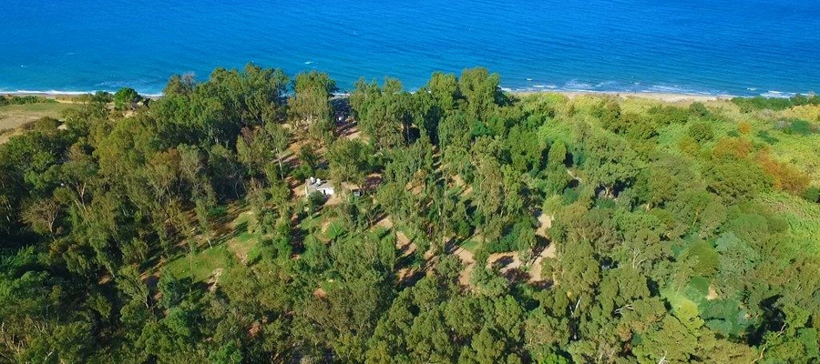Camping Site (Dasoudi Beach), Polis Chrysochous - Blue Flag image