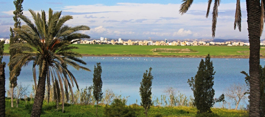 Der Salzsee von Larnaka (Larnaca) image